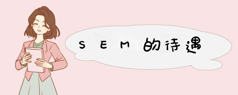 SEM的待遇,第1张