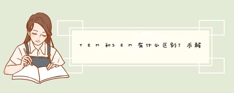 TEM和SEM有什么区别？求解,第1张