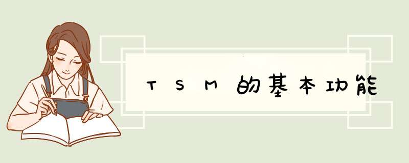 TSM的基本功能,第1张