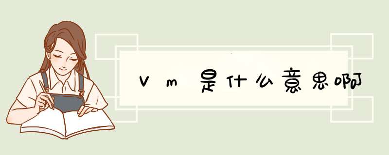 Vm是什么意思啊,第1张