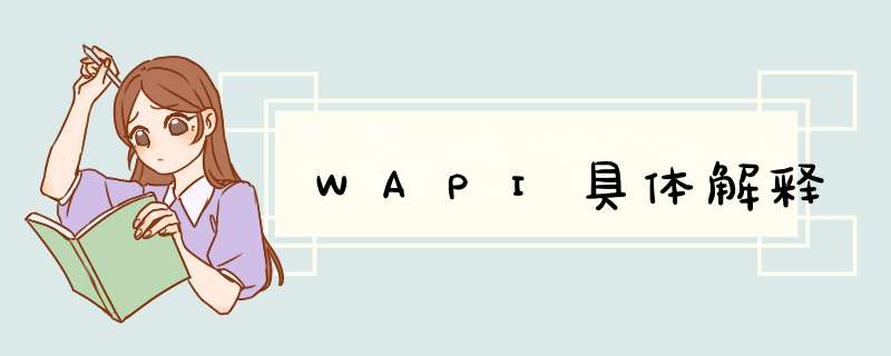 WAPI具体解释,第1张