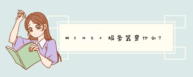 WINS 服务器是什么?,第1张