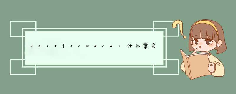 dns forward 什么意思,第1张