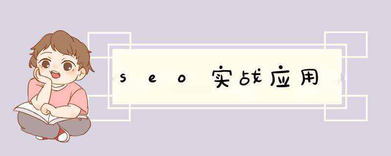 seo实战应用,第1张