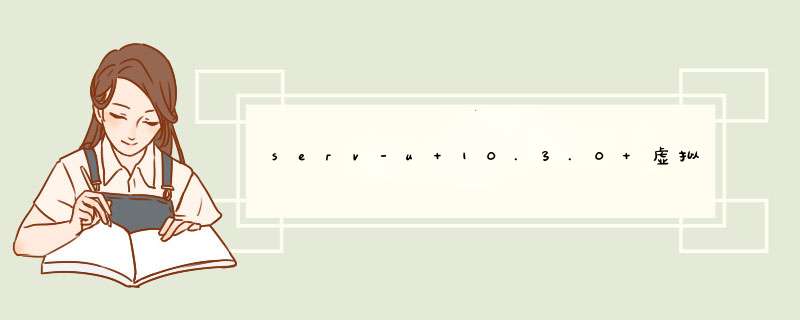 serv-u 10.3.0 虚拟目录如何设置？,第1张