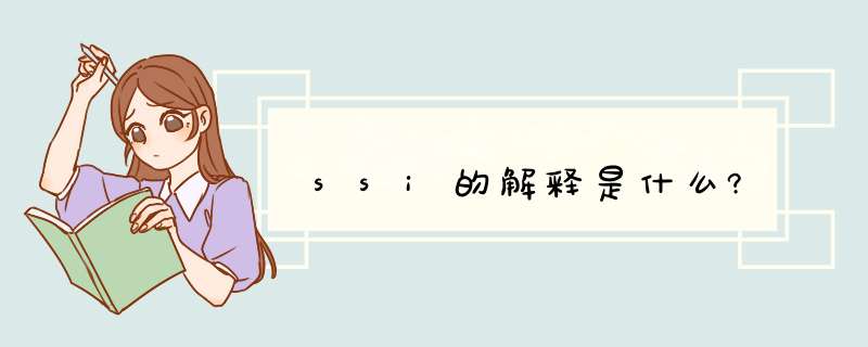 ssi的解释是什么?,第1张